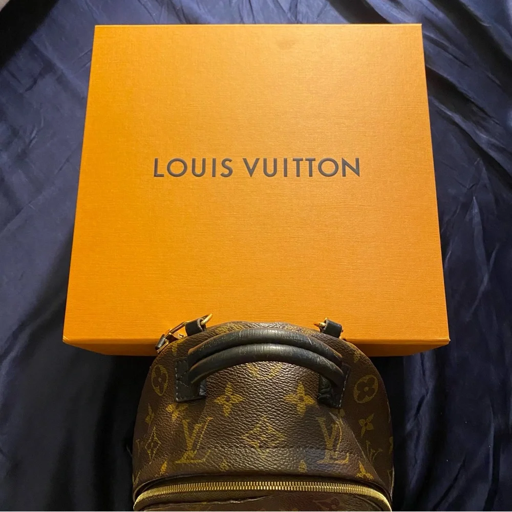 Louis Vuitton Palm Springs Backpack Mini Brown Canvas - Picture 15 of 15
